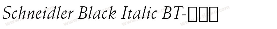 Schneidler Black Italic BT字体转换